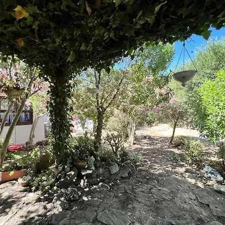 Σπίτι διακοπών Casa Del Mar En Primera Linea De Playa El Palmar Καντίζ