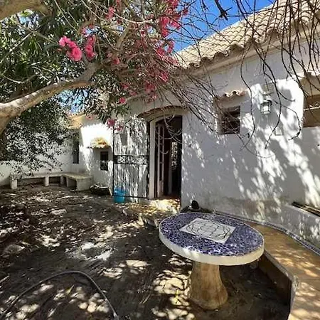 Σπίτι διακοπών Casa Del Mar En Primera Linea De Playa El Palmar Καντίζ