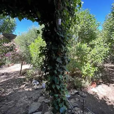 Casa Del Mar En Primera Linea De Playa El Palmar Καντίζ